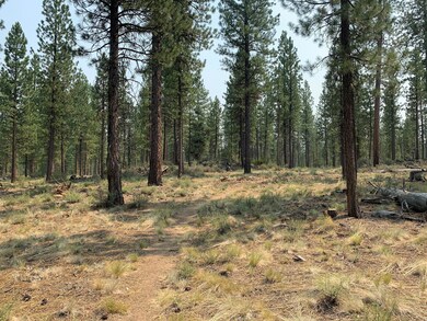 National Forest behind lot
