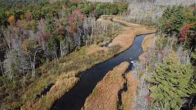 5683 Tyndal Rd, Branch Township, MI 49402 - photo 6