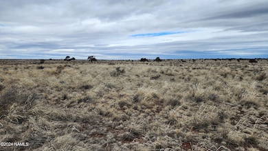 126 N Laguna Dr Lot B, Williams, AZ 86046 - photo 6