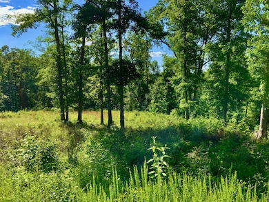 0 Bear Hollow Rd unit RTC2817202, Waverly, TN 37185 - photo 2