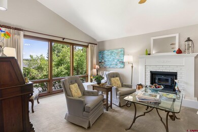 20 Jenkins Dr, Durango, CO 81301 - photo 5