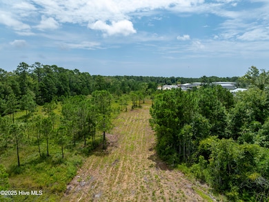 Tbd U S 17, Holly Ridge, NC 28445 - photo 5