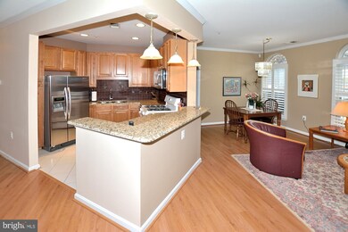 2931 Deer Hollow Way unit 108, Fairfax, VA 22031 - photo 6