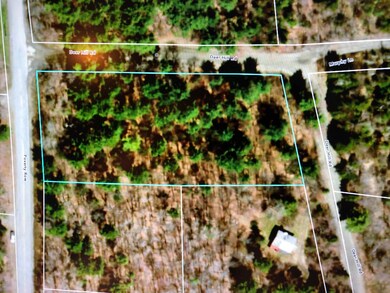 0 Deer Hill Rd unit 4 & 9 4924588, Whitingham, VT 05361 - photo 5