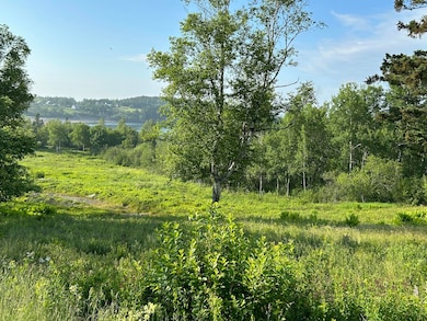Open Field