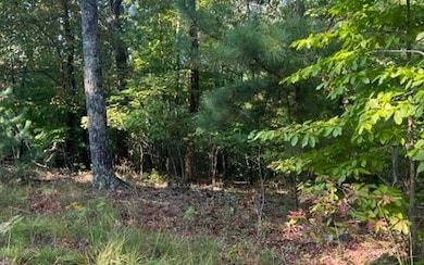 Additional View