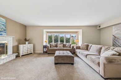 75 6th Ave unit 301, La Grange, IL 60525 - photo 6