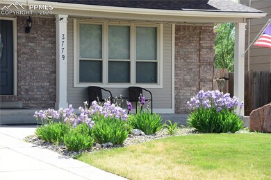Beautiful irises every spring/summer