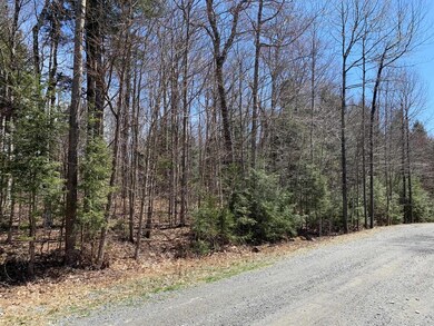 2 Brook Ln unit 37, Wilmington, VT 05363 - photo 4