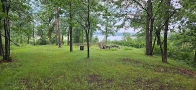 XXXX Forthun Rd, Baxter, MN 56425 - photo 4