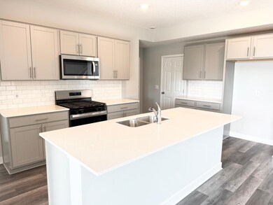 931 Redfield Cir, Delano, MN 55328 - photo 5