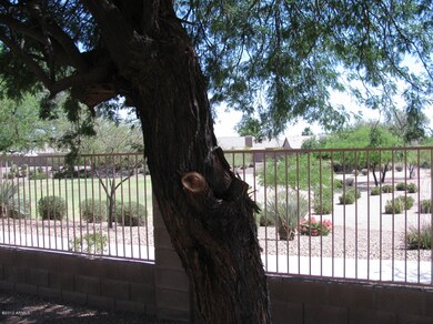 BACKYARD VIEW