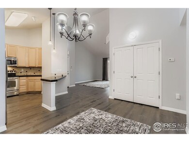804 Summer Hawk Dr unit 3208, Longmont, CO 80504 - photo 7