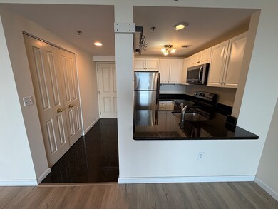 Regatta Riverview Residences unit 2203, Cambridge, MA 02141 - photo 6