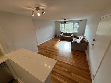 21 Warren St unit 2-4, Waltham, MA 02453 - photo 4