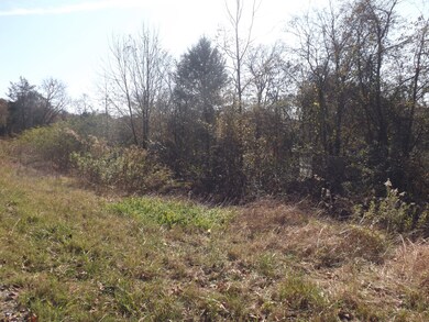 1 Stella Church Rd, Prospect, TN 38477 - photo 6