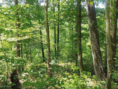 11 Moss Run Rd, Marietta, OH 45750 - photo 6