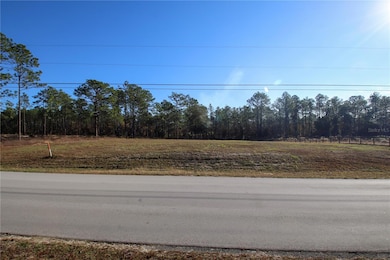 LOT 4 SW 129th Terrace Rd, Ocala, FL 34481 - photo 2