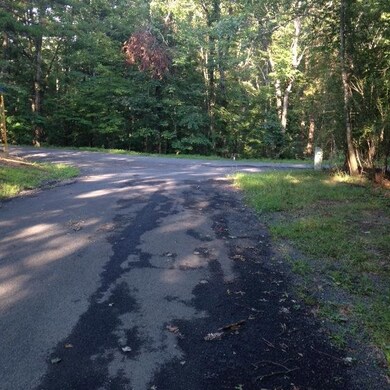 0 Lee Dr unit 580075, Basye, VA 22810 - photo 3