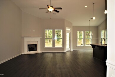 124 Sago Palm Dr, Bluffton, SC 29910 - photo 4