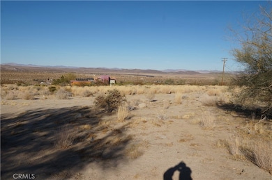 7122 Sunkist Rd, Joshua Tree, CA 92252 - photo 3