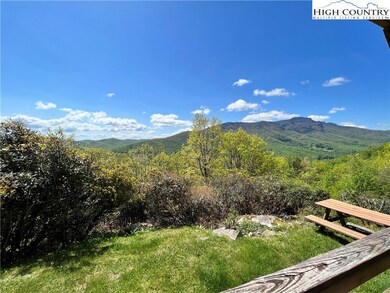 All of this right from the back deck
