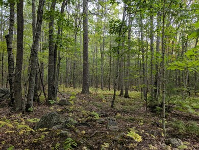 IMG_20190917_145330