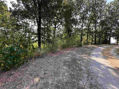 1302 & 1304 View Park Cir, Horseshoe Bend, AR 72512 - photo 3