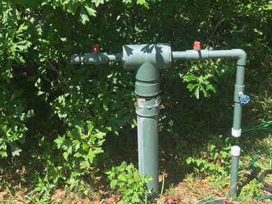 Artesian Well