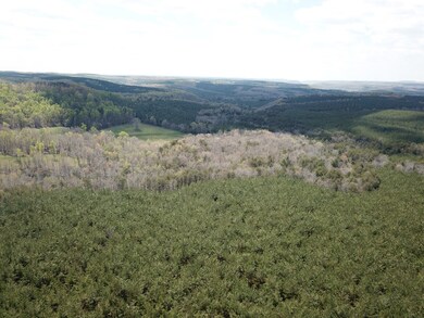 0 Thomas Springs Rd unit 204233, Crossville, TN 38572 - photo 3