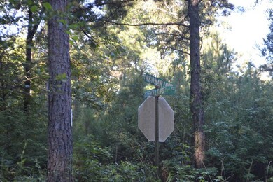 152 Strickland Rd, Attapulgus, GA 39815 - photo 2