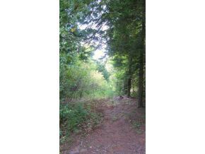 0 Merrill Dr unit 4503739, Bennington, NH 03442 - photo 2