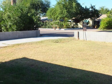 Front Yard (1)