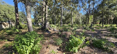 0 Piermaj Ln, Lutz, FL 33549 - photo 4