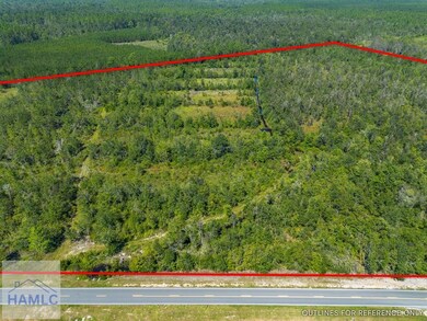 0 Old Surrency Rd unit 162811, Baxley, GA 31513 - photo 6