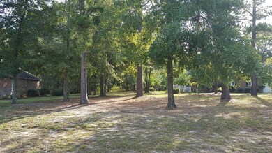 LOT VIEW FROM THE RIGHT SIDE