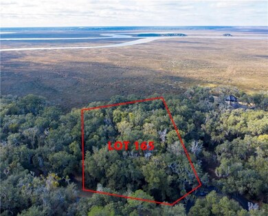 65 Hatton Ln, Saint Simons Island, GA 31522 - photo 2