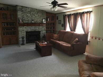 742 Sir Johns Run Rd, Berkeley Springs, WV 25411 - photo 7