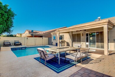 Pool and Backyard