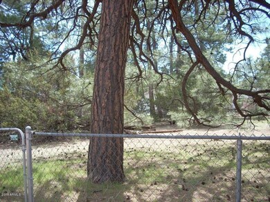 2053 WILDERNESS (7)