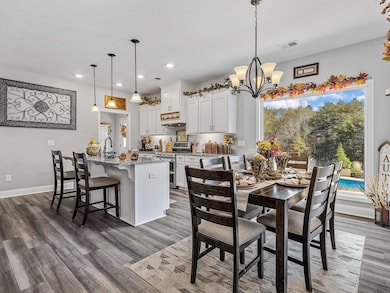 1076 Mcswain Rd, Chesnee, SC 29323 - photo 7