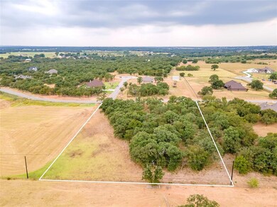 128 Lazy Bend Rd, Hudson Oaks, TX 76087 - photo 6