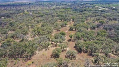7769 County Road 311, D Hanis, TX 78850 - photo 4