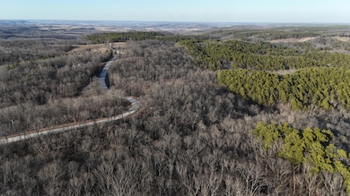 DJI_20250128160618_0051_D