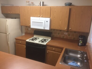 2411 Courtyard Cir unit 2, Aurora, IL 60506 - photo 6