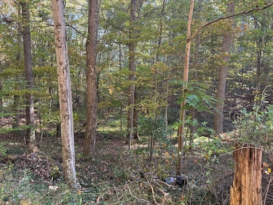 120 Horizon Ln, Lester, WV 25865 - photo 6