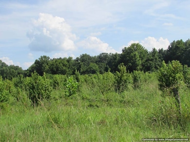 Hwy 43, Canton Mississippi 43, Canton, MS 39046 - photo 3