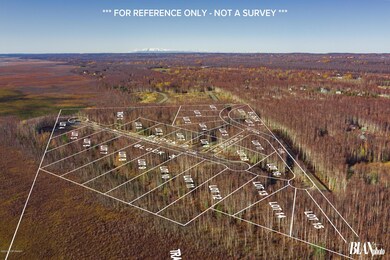 AERIAL MAP REVISED 1