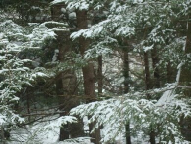 K47 High Brook Rd, Thornton, NH 03285 - photo 3