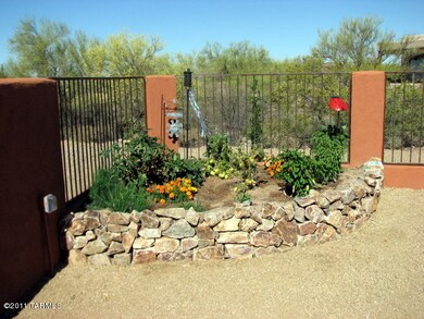Backyard garden
